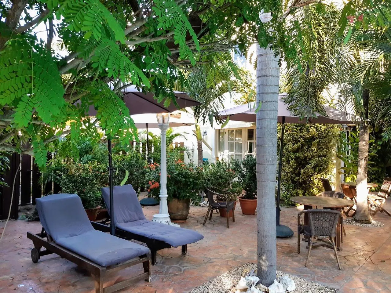Wonders Boutique Hotel Oranjestad Aruba