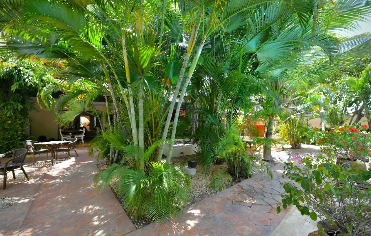 Wonders Boutique Hotel Oranjestad