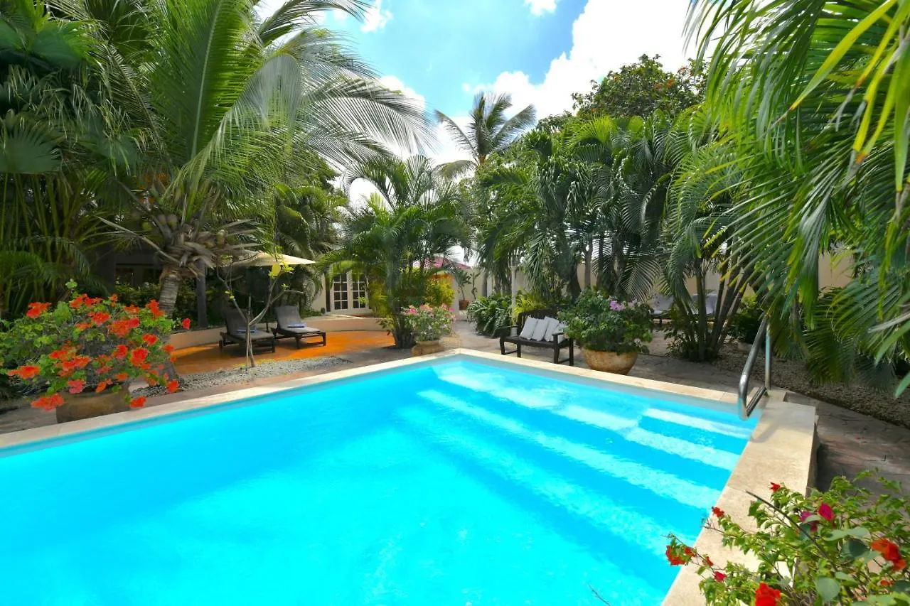 אורנג'סטאד Wonders Boutique Hotel