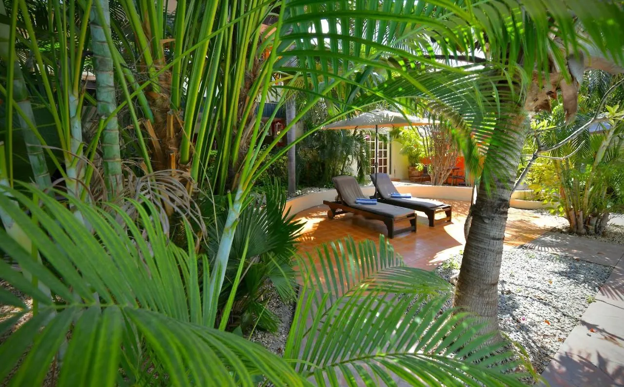 אורנג'סטאד Wonders Boutique Hotel