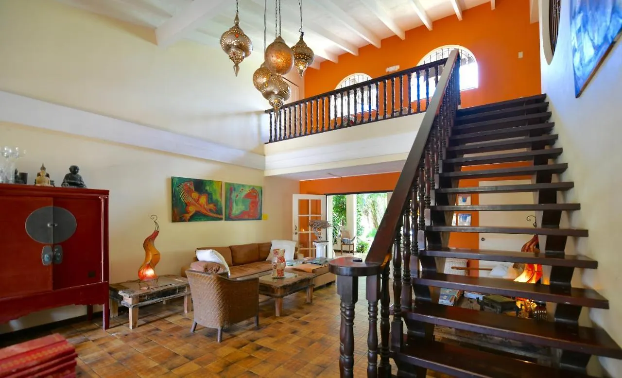 אורנג'סטאד Wonders Boutique Hotel